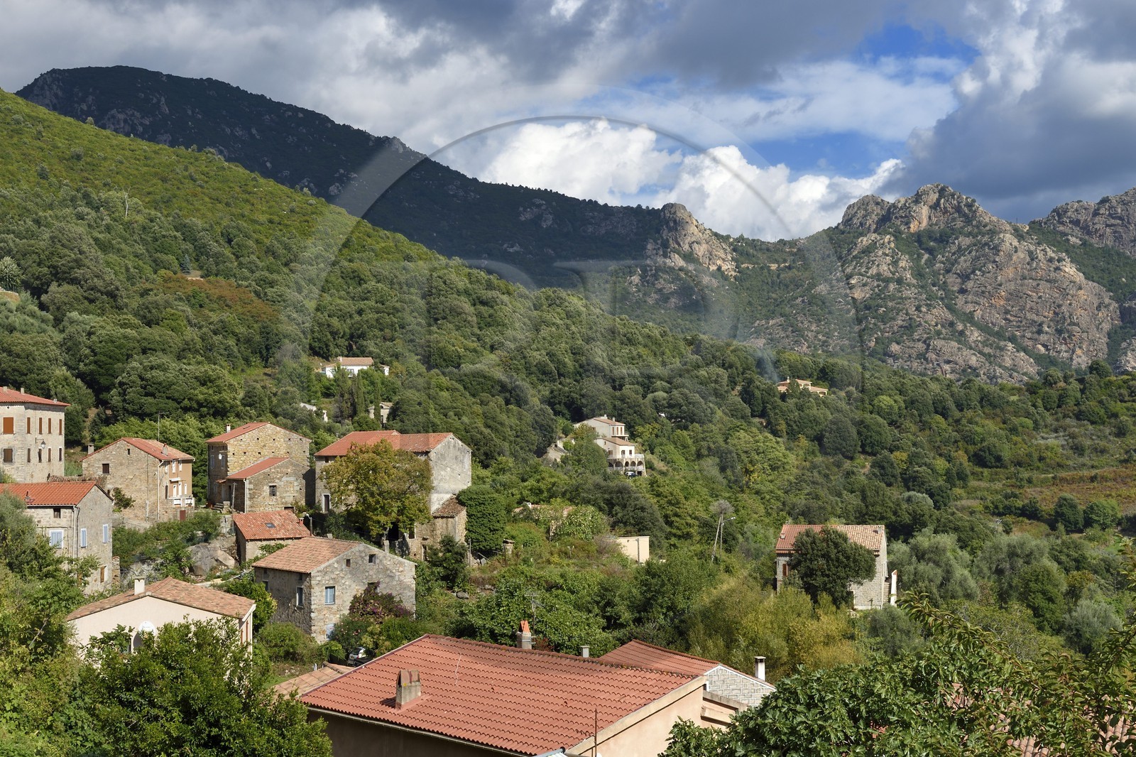 France, Corse du Sud, Prunelli river valley, Ocana