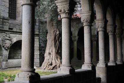 Portugal, Minho region, Guimaraes, town listed as World Heritage by UNESCO, Alberto Sampaio museum in the former convent de Nossa Senhora Da Oliveira, the Romanesque cloister