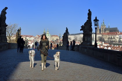 République Tchèque, Prague, centre historique classé Patrimoine Mondial de l' UNESCO, femme promenant ses chiens sur le pont Charles