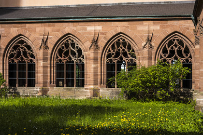Suisse, Bâle, la cathédrale protestante Notre-Dame de Bâle (Munster), le cloitre