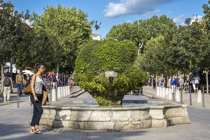France, Bouches du Rhone, Aix en Provence, Cours Mirabeau, main artery of the city, fountain of the 9 cannons