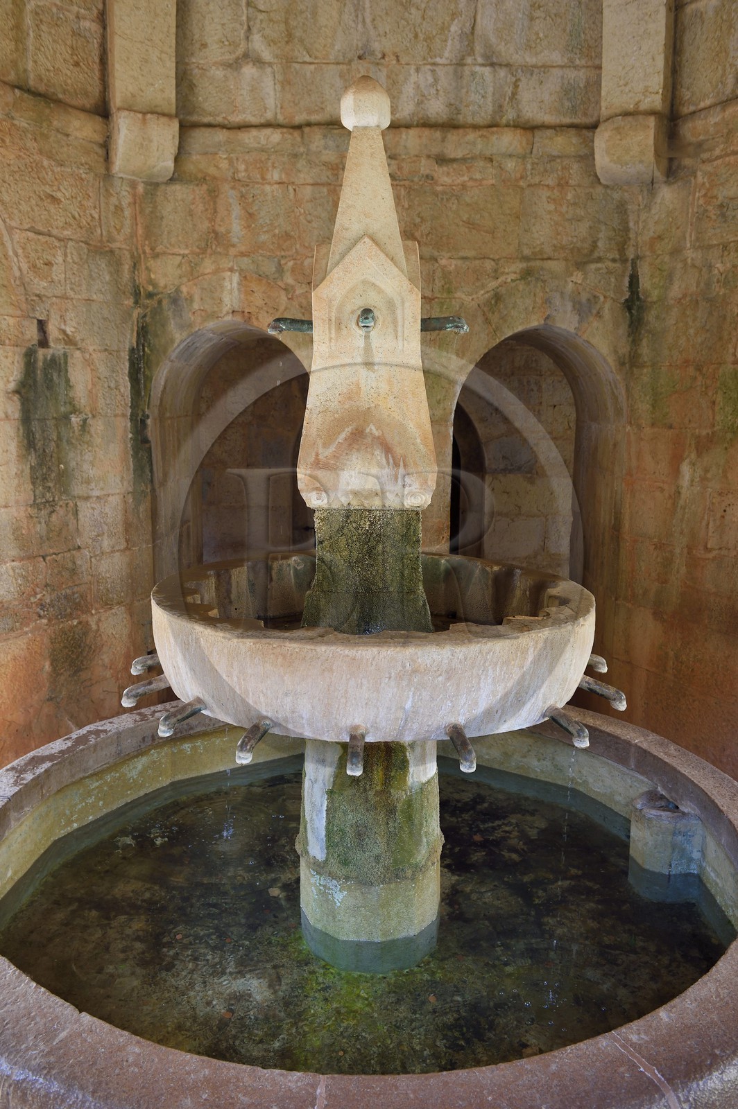 France, Var (83), Abbaye cistercienne du Thoronet, la fontaine du cloitre