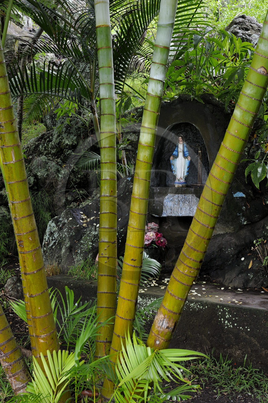 France, île de la Réunion, commune de Saint-Paul, le chemin du Tour des Roches, petit autel dédié à la Vierge