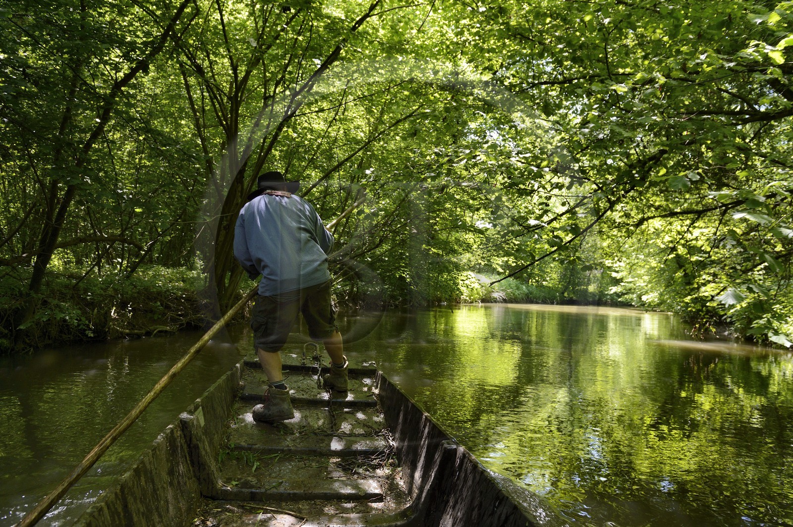 France, Bas Rhin, Ebersmunster and Muttersholtz region, the Ried, the boatman Patrick Unterstock in a small flat wooden bottom boat on the Ill river