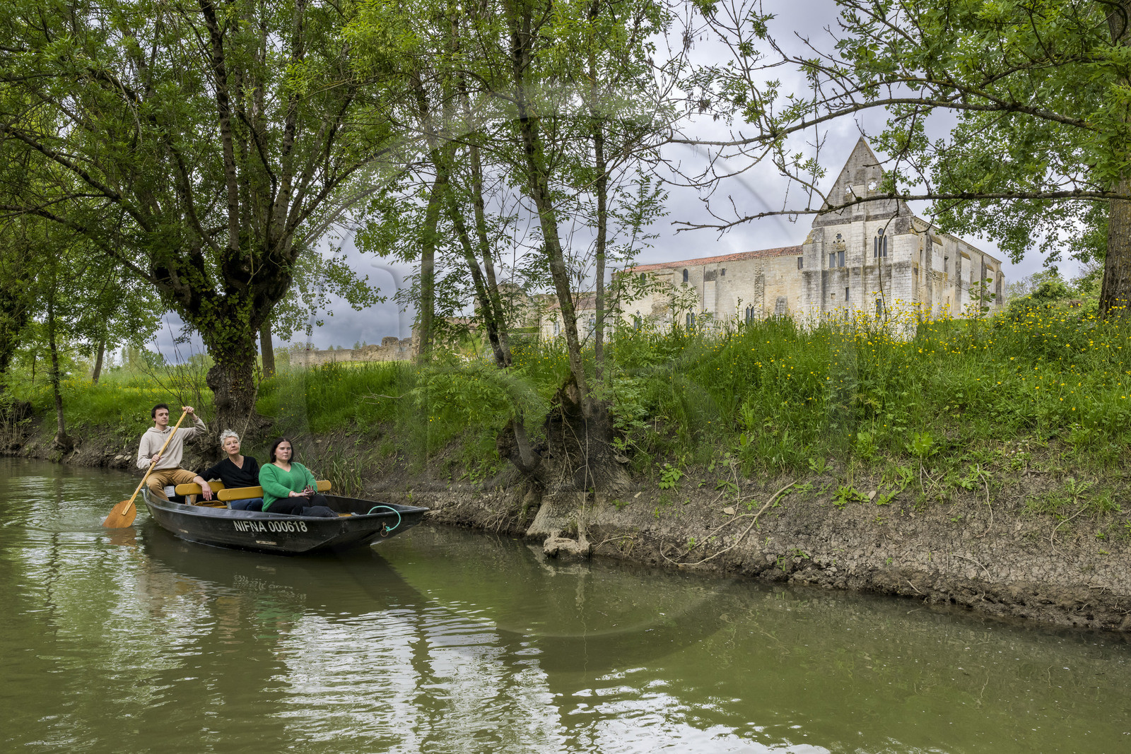 France, Vendée (85), Parc Interrégional du Marais Poitevin labellisé Grand Site de France, Maillezais, batelier effectuant une promenade en barque sur les affluents de l'Autise, les vestiges de l'abbaye Saint-Pierre de Maillezais en arrière plan
