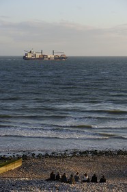 France, Seine-Maritime (76), Le Havre, observation du passage des grands porte-containers depuis la grande plage à Sainte-Adresse