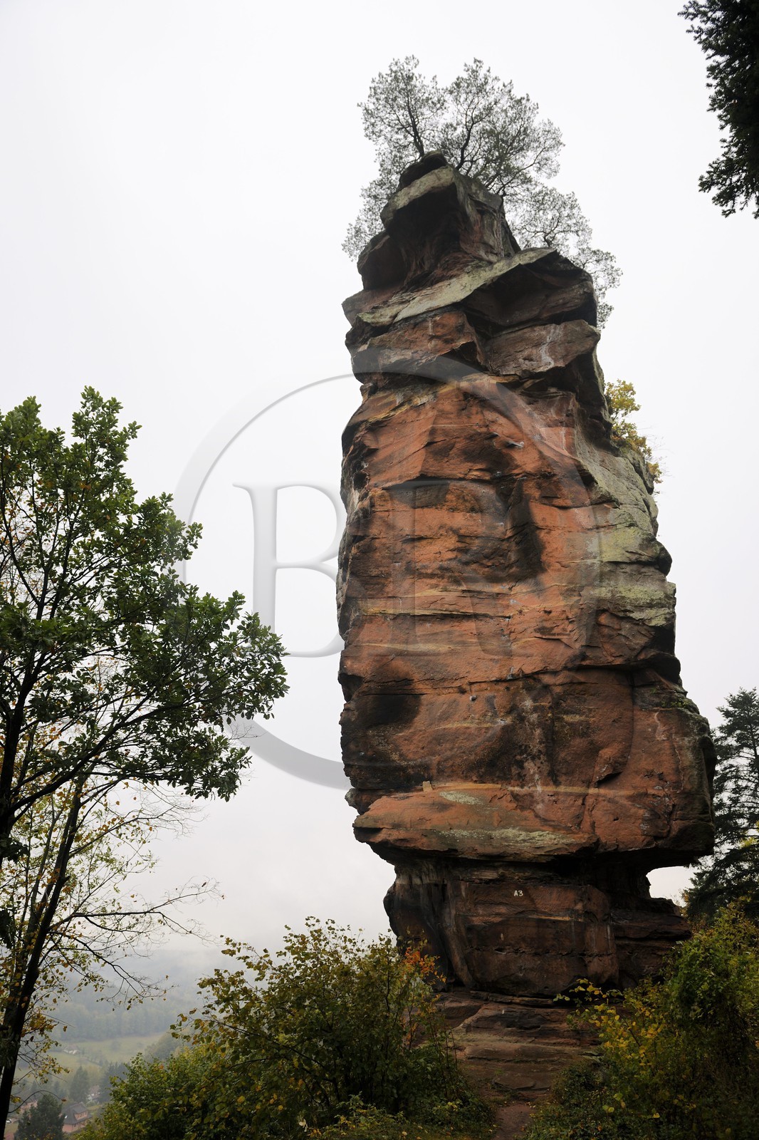France, Bas-Rhin (67), château du Vieux-Windstein