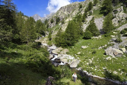 France, Alpes-Maritimes (06), parc national du Mercantour, vallée de la rivière Valmasque et sommets de la haute Valmasque, Alain Lanteri-Minet, guide et ancien garde-moniteur du parc