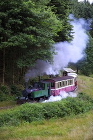 France, Moselle (57), Abreschviller, le petit train anciennement train forestier