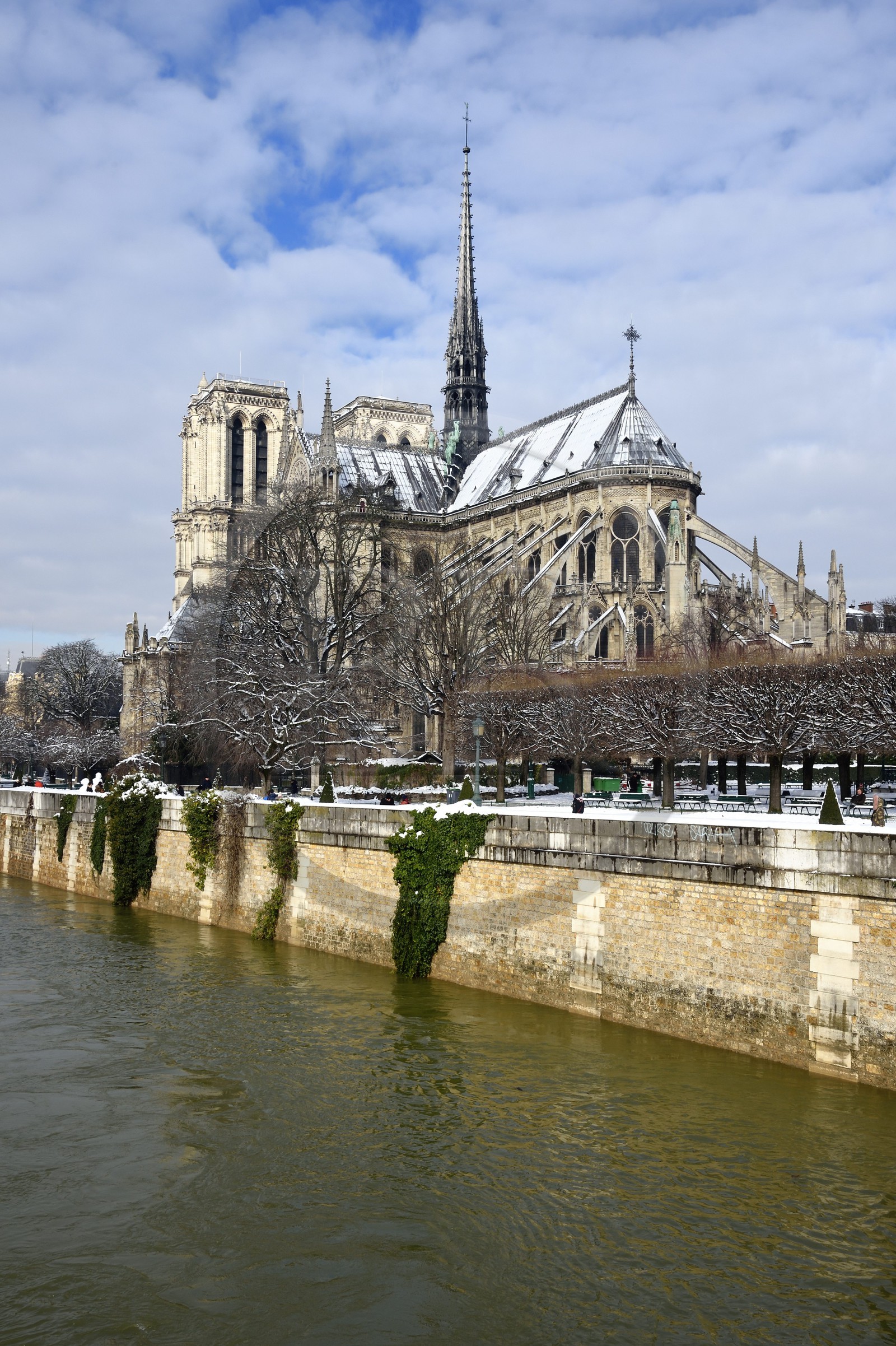 France, Paris (75), les rives de la Seine, classées Patrimoine Mondial de l'UNESCO, la Seine en crue et la Cathédrale Notre-Dame sous la neige sur l'Ile de la Cité et le quai de l'Archevêché