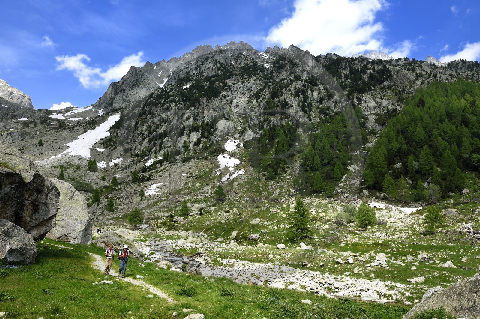 France, Alpes-Maritimes (06), parc national du Mercantour, Haute-Vésubie, randonnée dans le vallon de la Gordolasque