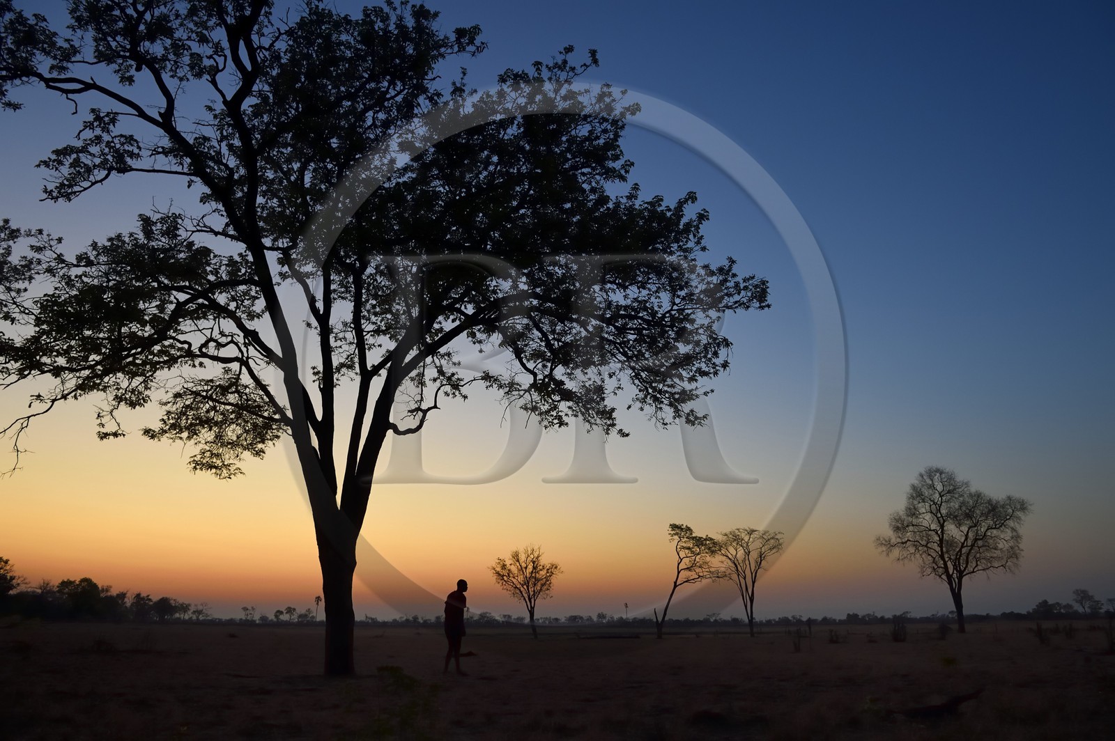 Zimbabwe, Matabeleland North Province, Hwange National Park, Wilderness Safaris Davison's Camp, sunrise in the savannah