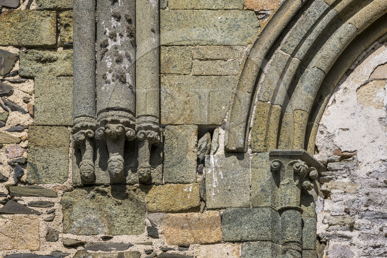 France, Cotes d'Armor, Paimpol, the 13th century Beauport Abbey, interior of the abbey church, sculpture of the bottom of a column in the transept
