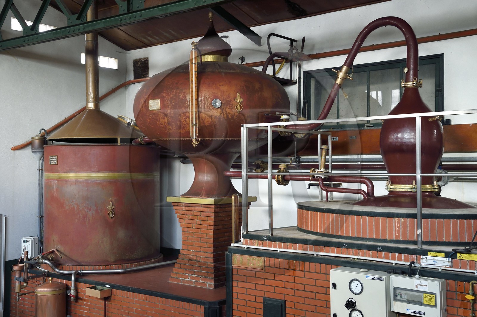 France, Charente (16), Sireuil, Distillerie des Moisans, alambic charentais destiné à produire l'eau-de-vie de vin qui deviendra du cognac