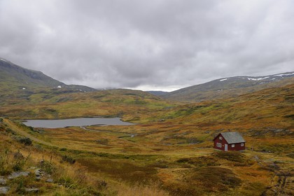 Norvège, Hordaland, Vikajfell, route de Vik à Voss