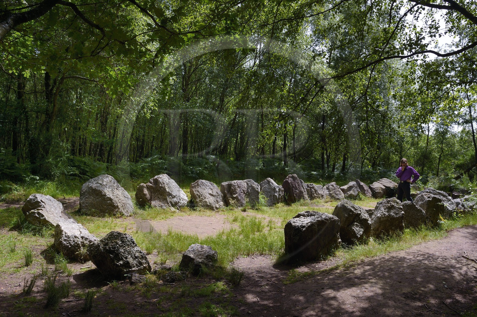 France, Morbihan (56), forêt de Brocéliande, le Jardin aux Moines, site mégalithique daté de 3000 à 2500 av J.C.