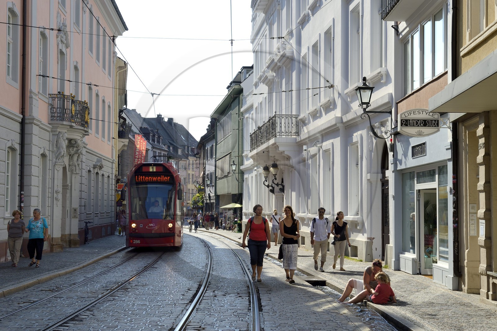 Allemagne, Bade-Wurtemberg, Fribourg en Brisgau, Salzstrasse, un des Bächle qui sont des petits caniveaux ouverts qui bordent les trottoirs de la vieille ville
