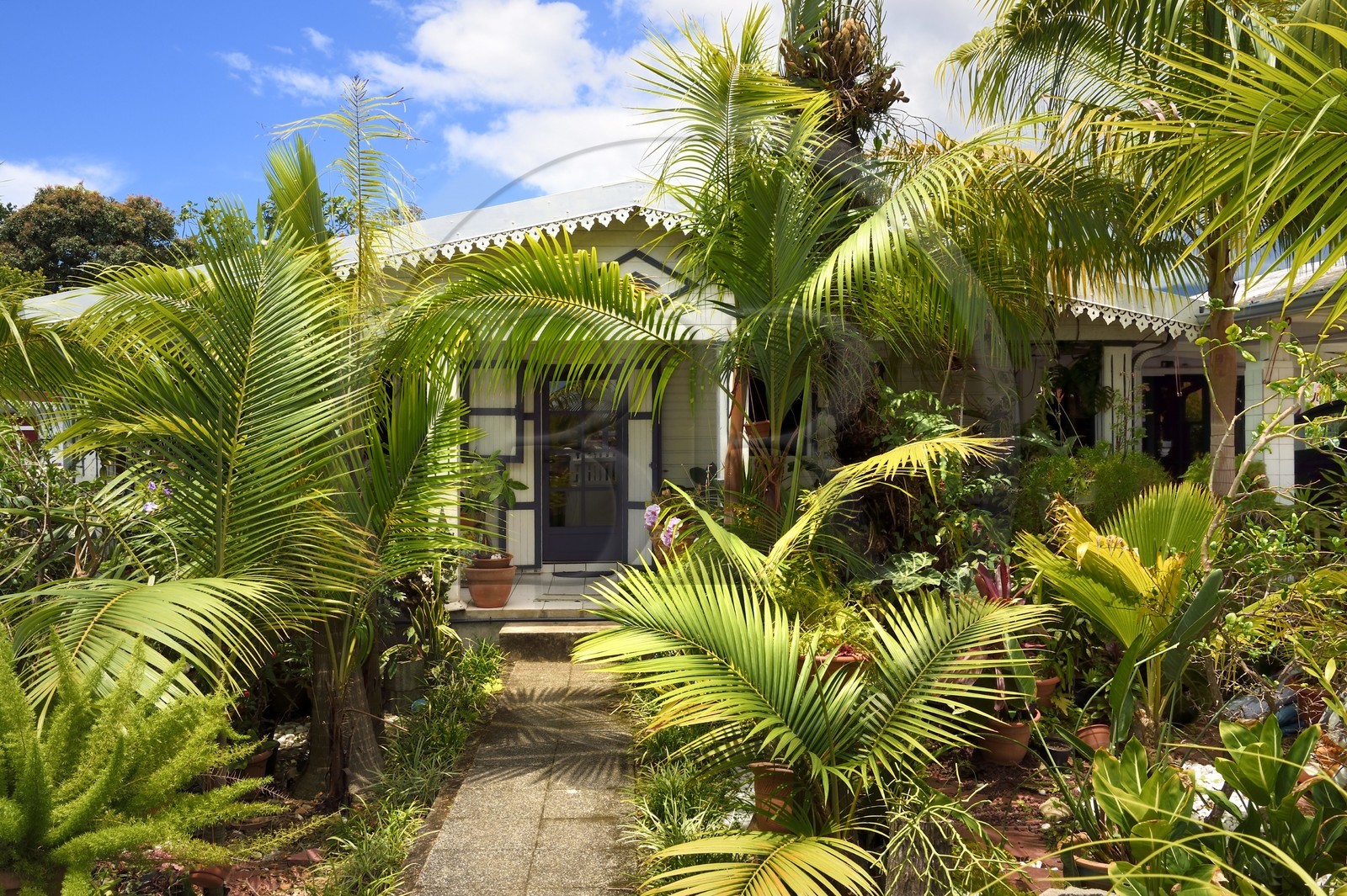 France, Ile de la Reunion, Sainte-Anne, case traditionnelle