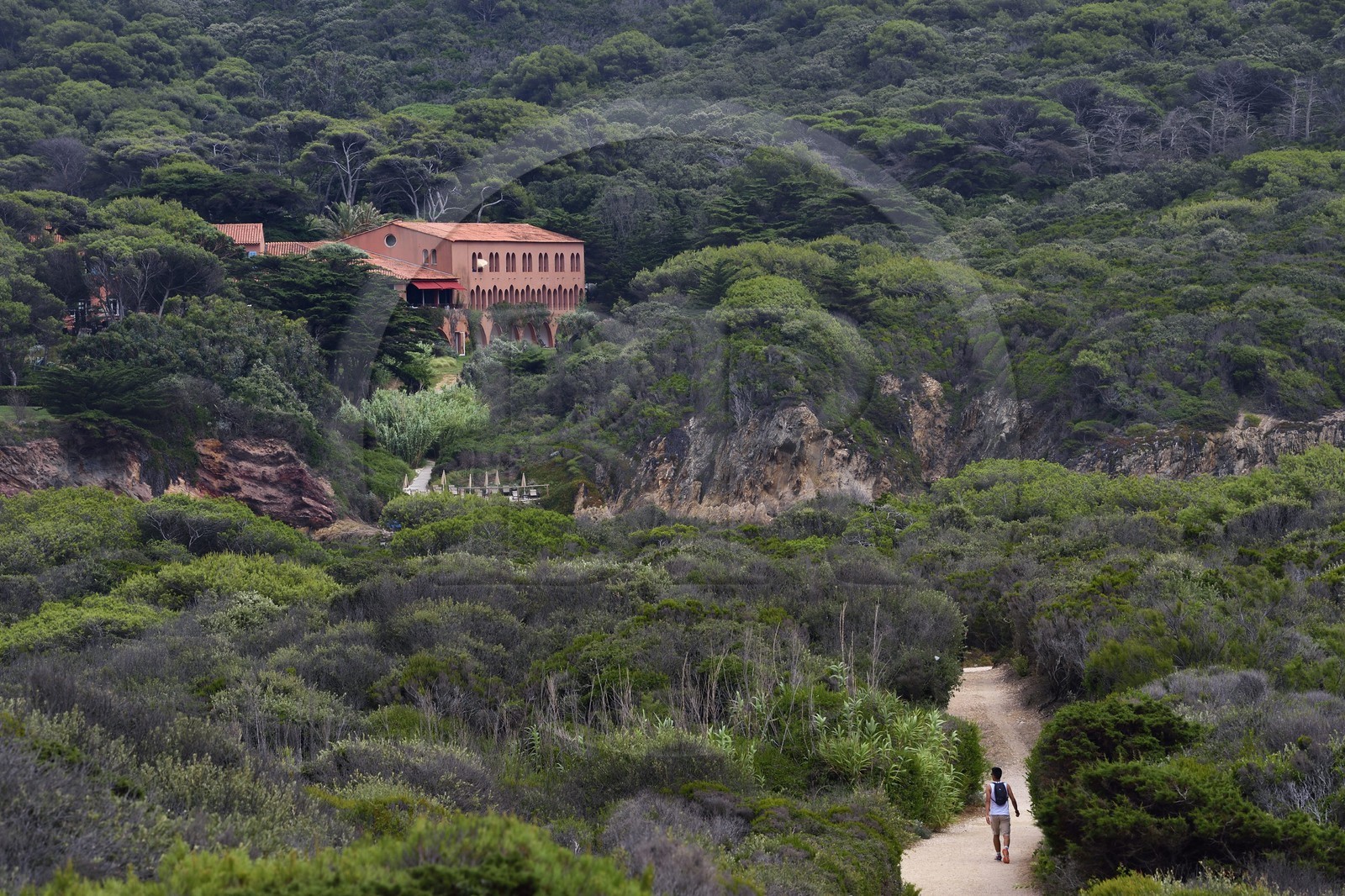 France, Var (83), Iles d'Hyères, parc national de Port Cros, Ile de Porquerolles, Hotel Le Mas Du Langoustier