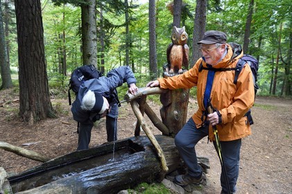 France, Haut Rhin, Thannenkirch, hiking in the Taennchel massif, Hubert Bihl of the Club Vosgien in front of a sculpted fountain