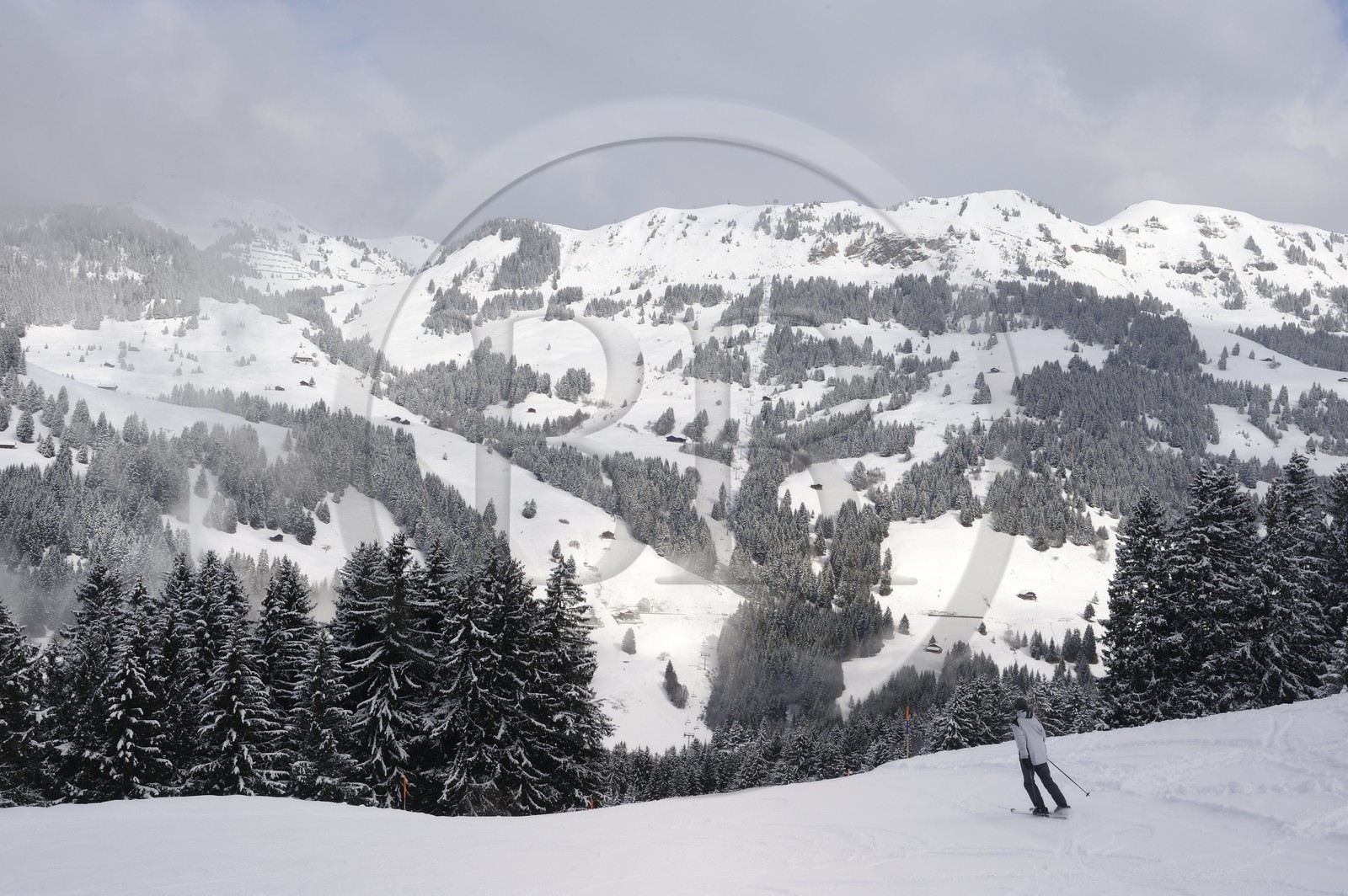Suisse, Canton de Vaud, Domaine skiable de Villars sur Ollon - Gryon