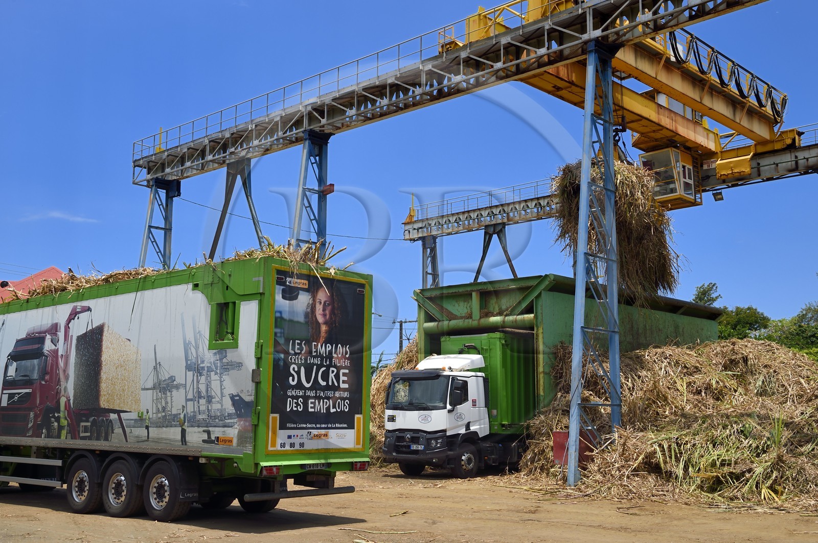 France, Ile de la Reunion, Saint-Joseph, un des 11 centres de réception et de collecte de la canne à sucre aussi appelés Balance, les tracteurs amènent depuis les champs la canne dans des remorques, elle est ensuite pesée et chargée dans de grand camions appelés cachalots pour être acheminée vers l'usine sucrière du Gol