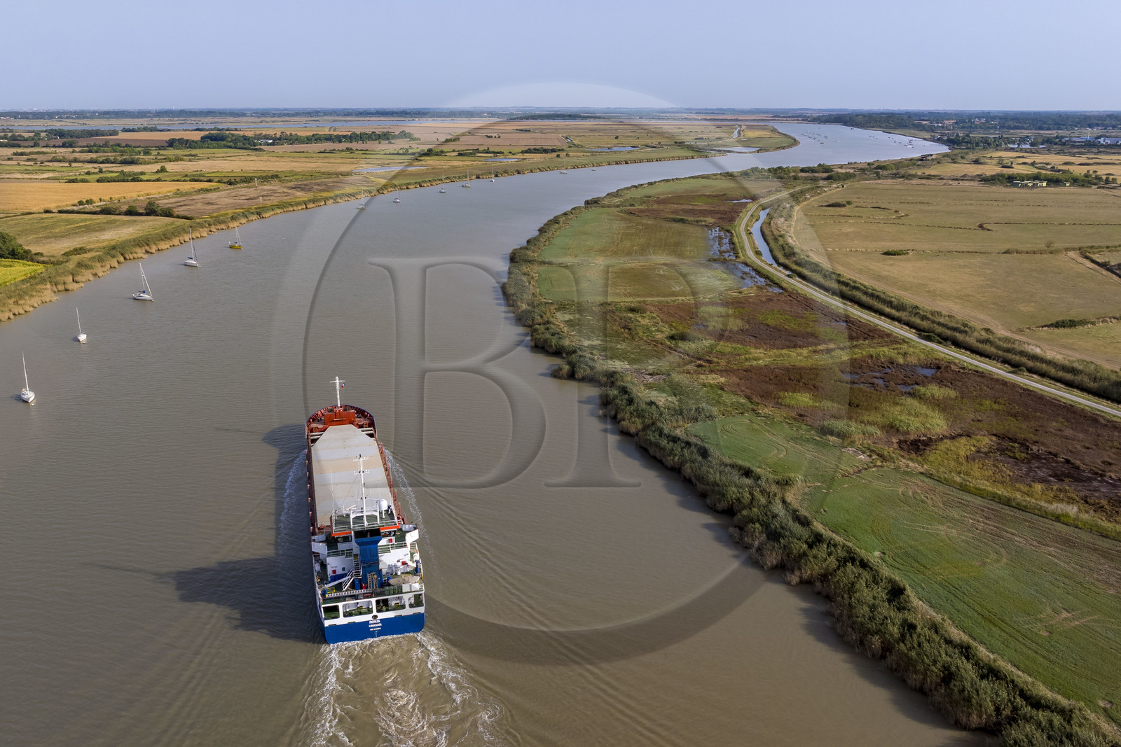 France, Charente Maritime, Rochefort and Soubise, cargo ships sailing down the Charente river (aerial view)