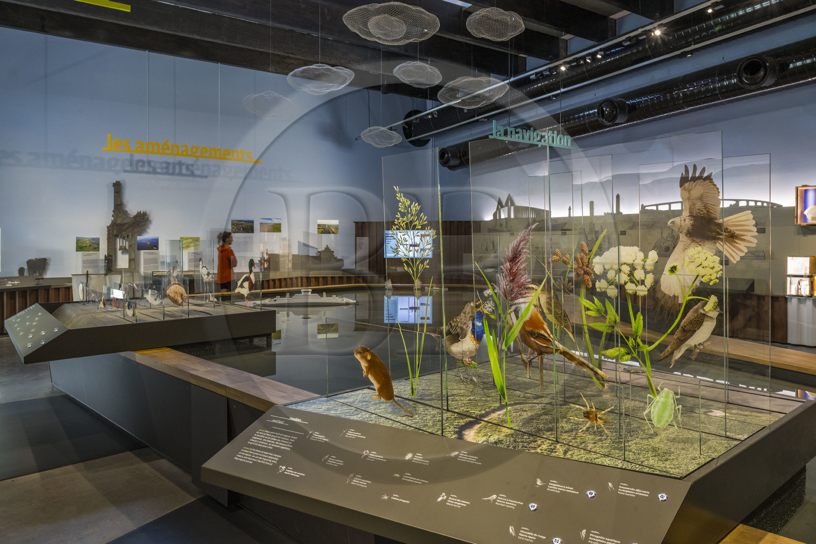 France, Loire Atlantique, Cordemais, the Terre d’Estuaire discovery center