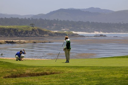 United States, California, 17 Mile Drive, golf of Pebble Beach