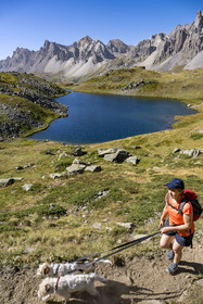 France, Hautes Alpes, Briancon region, Nevache, the upper Clarée valley, hiker with her dogs at Lac Long at an altitude of 2387m, the Cerces massif in the background