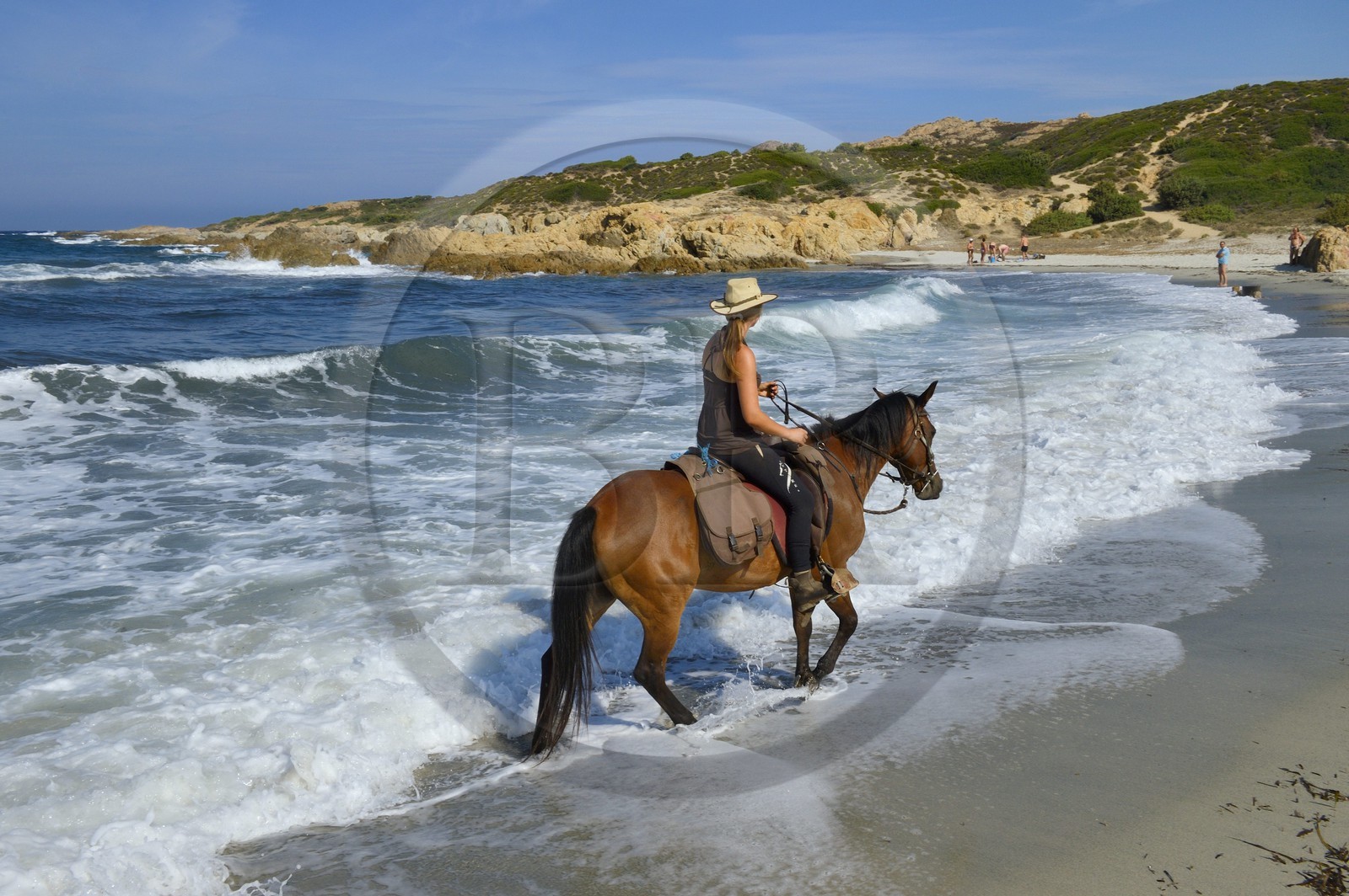France, Haute-Corse (2B), Nebbio, désert des Agriates, Anse de Peraiola, cavalière sur la plage d'Ostriconi