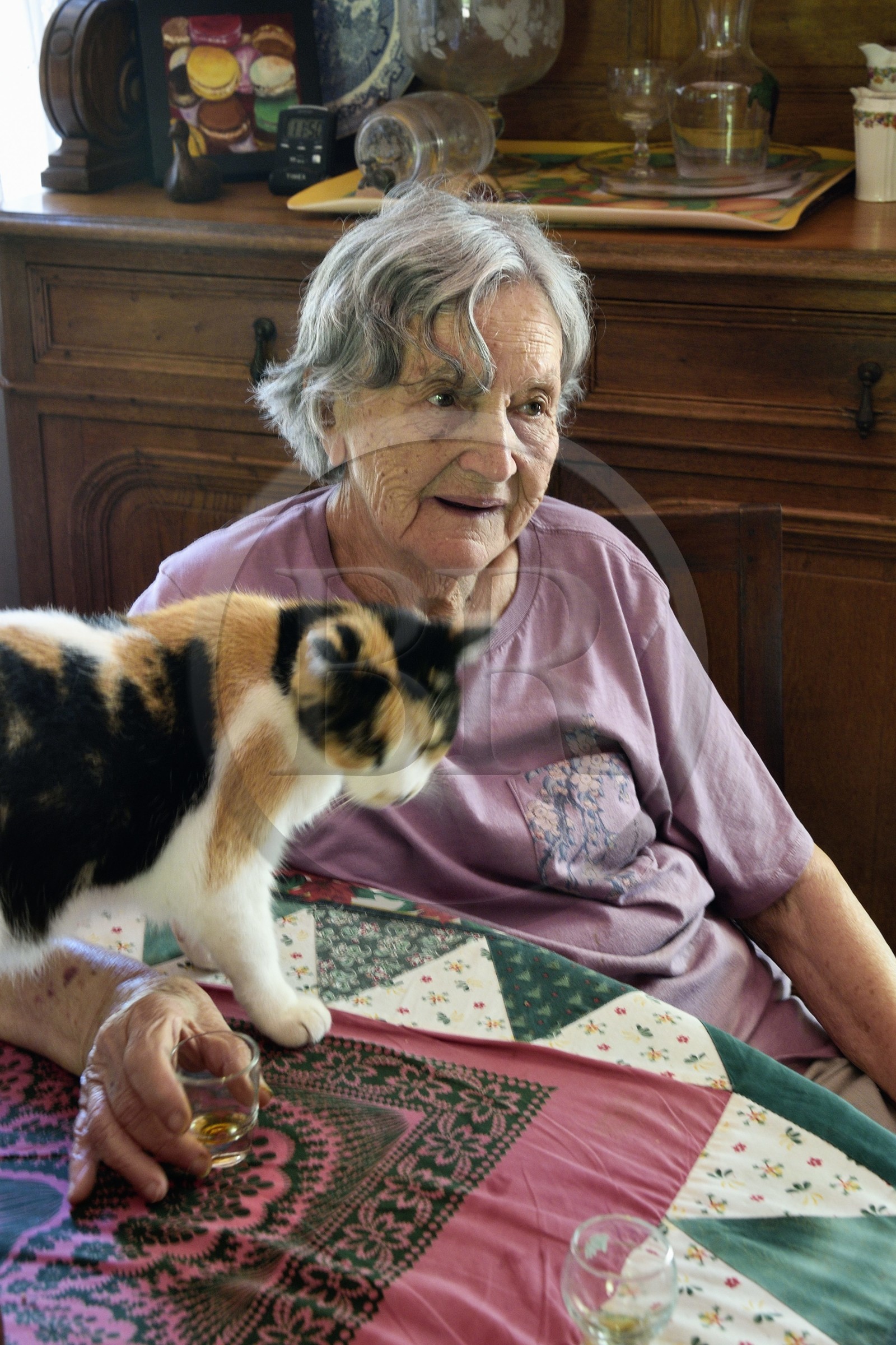 France, Ile de la Reunion, Cirque de Salazie, classé Patrimoine Mondial de l'UNESCO, Hell-Bourg, labellisé les Plus Beaux Villages de France, la Villa ou Maison Folio à l'architecture créole traditionnelle du XIXème siècle, Solange Folio dans sa cuisine