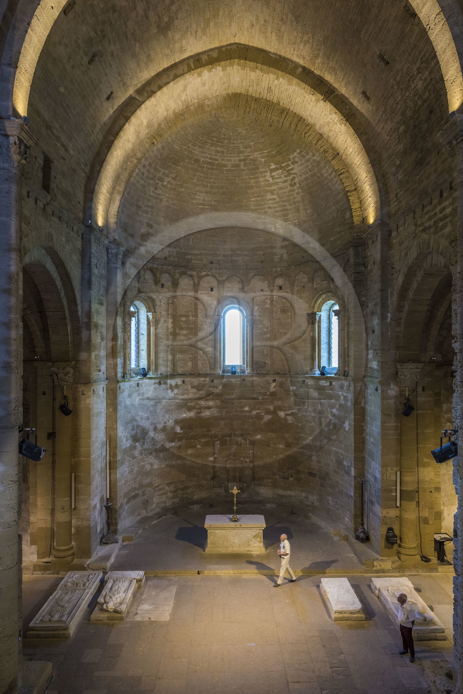 France, Hérault (34), Villeneuve-lès-Maguelone (Palavas-Les-Flots), cathédrale Saint-Pierre-et-Saint-Paul de Maguelone des XIIème et XIIIème siècles, la Nef depuis la Tribune