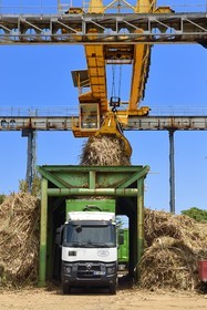 France, Reunion island (French overseas department), Saint-Joseph, one of the 11 sugar cane reception and collection centers also called Balance, the tractors bring the cane from the fields in trailers, it is then weighed and loaded in large trucks called cachalots to be transported to the sugar factory Gol