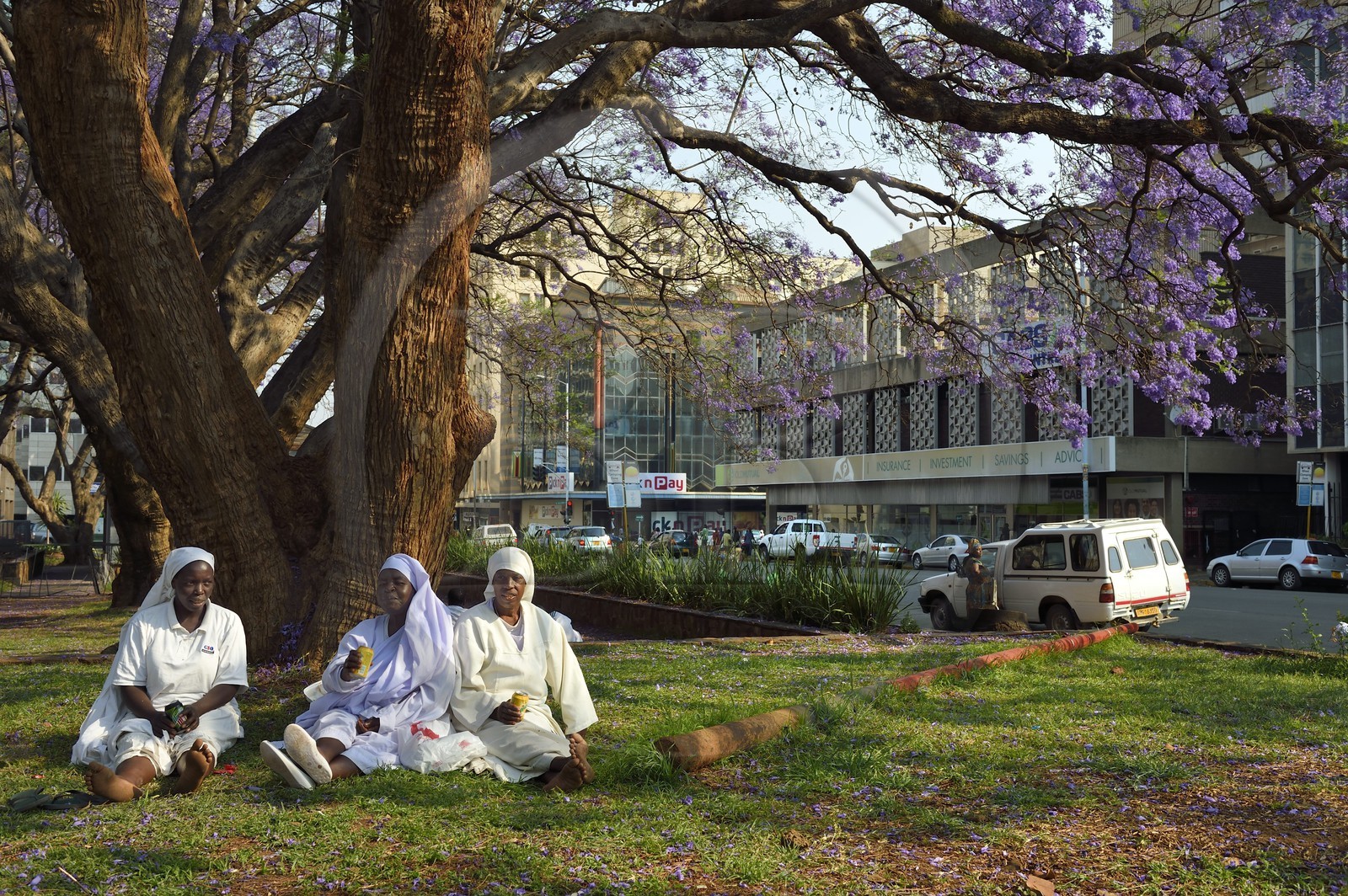 Zimbabwe, Harare, African Unity Square (anciennement Cecil Square), religieuses se reposant sous un jacaranda