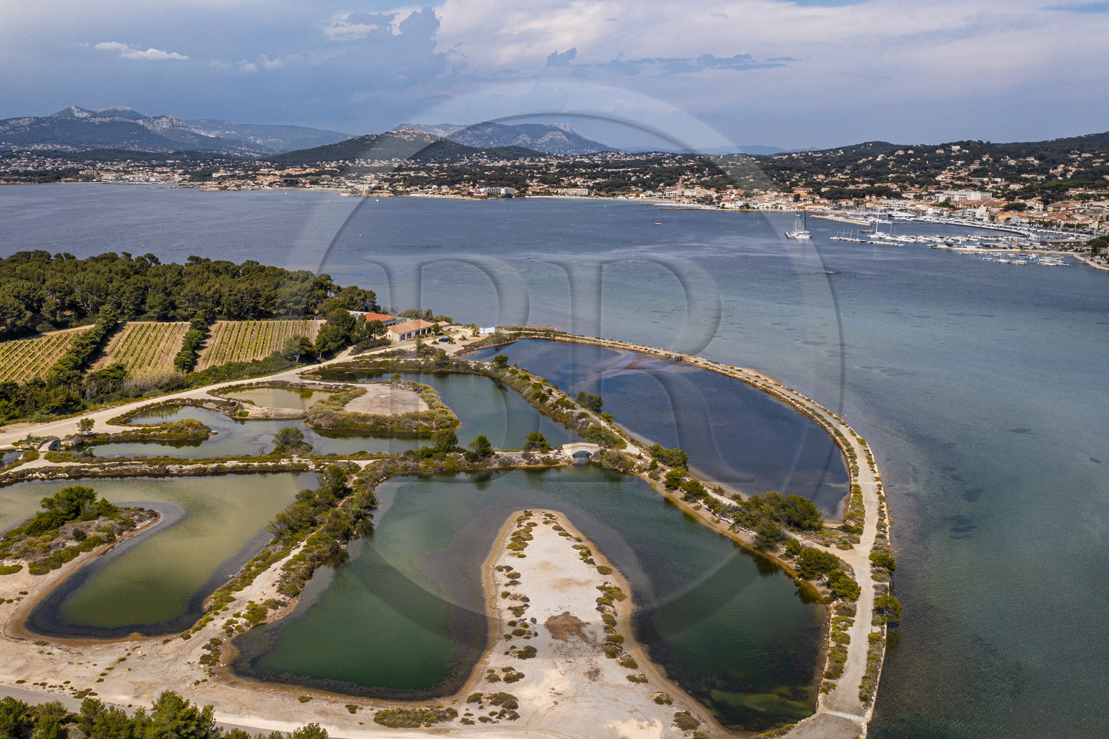 France, Var (83), Six-Fours-les-Plages, Ile des Embiez, les anciens marais salants en premier plan et vignoble (vue aérienne)