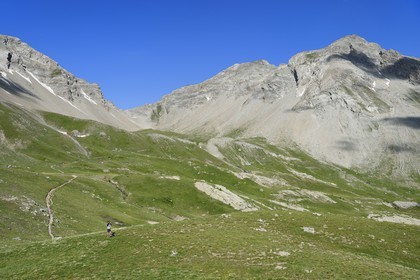 France, Alpes-de-Haute-Provence (04), Uvernet-Fours, parc national du Mercantour, vallée de l'Ubaye, col de la Cayolle (2326 m), sentier de randonnée qui grimpe à travers la pelouse alpine sur le circuit des lacs sous le sommet de la montagne du Trou de l’Aigle