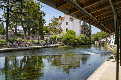 France, Vaucluse (84), L'Isle-sur-la-Sorgue, les rives de la Sorgue aux ondoyant herbiers au coeur de la vieille ville quai Jean Jaures