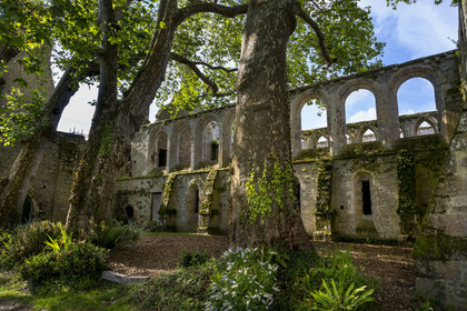 France, Côtes d'Armor (22), Paimpol, abbaye de Beauport du XIIIème siècle