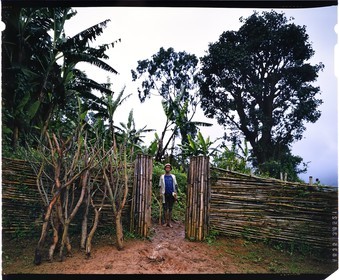 Burundi, province de Bujumbura, région d'Ijenda, jeune garçon Tutsi dans l'enceinte principale du rugo (ferme traditionnelle), intérieur de l'enclos à bétail, l'entrée principale peut être obstruée rapidement grâce aux branchages placés à coté de la porte (reproduction plan-film inversible 4x5)