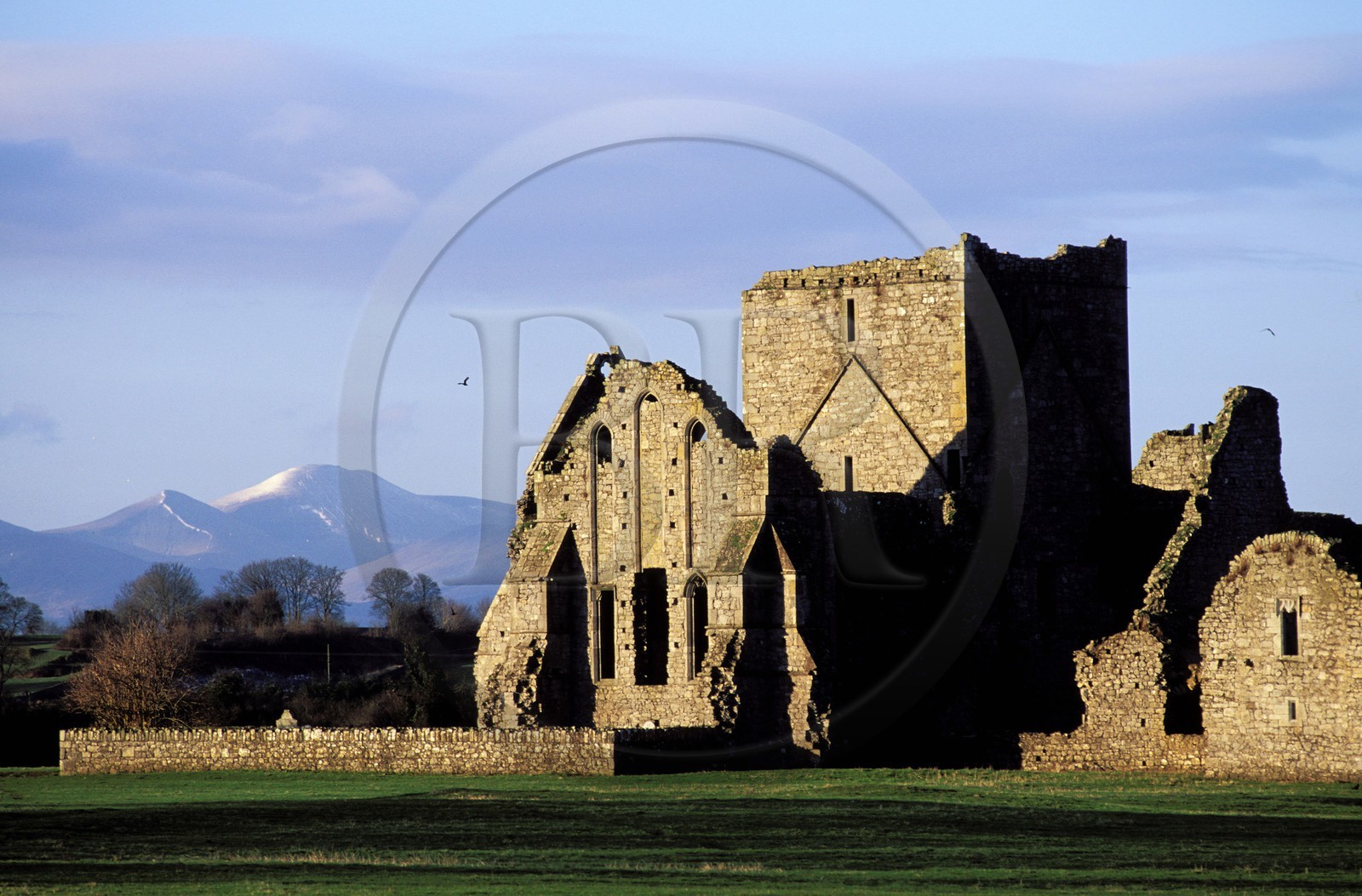 Irlande, Comté de Tipperary, abbaye de Hore à Cashel
