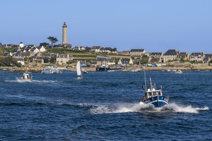 France, Finistère (29), Iles du Ponant, Ile de Batz, le Bourg et le phare en arrière plan