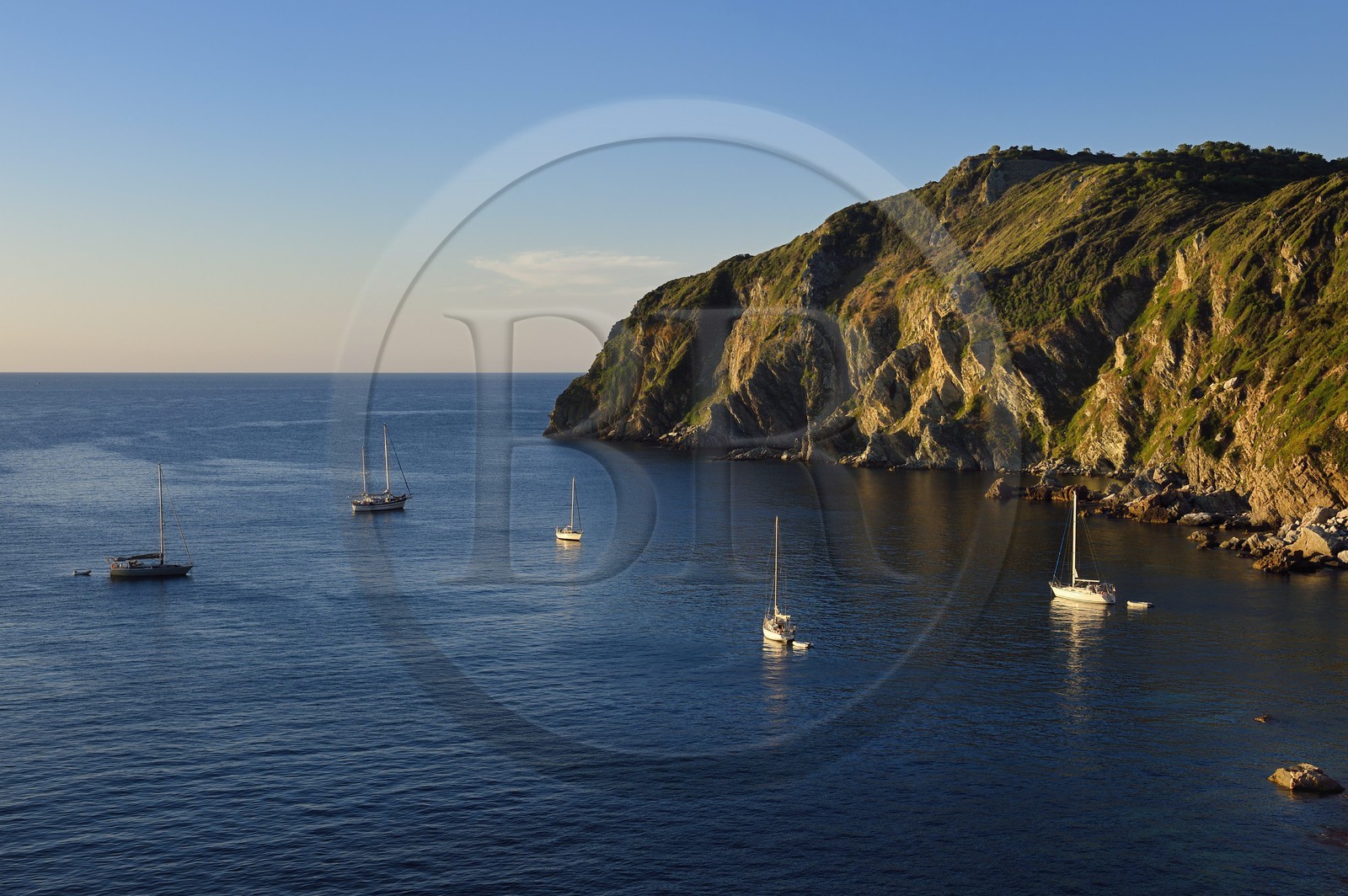 France, Var (83), Iles d'Hyères, parc national de Port Cros, Ile de Porquerolles, le cap des Mèdes