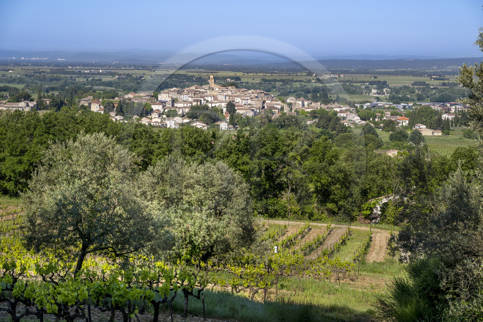 France, Vaucluse (84), Dentelles de Montmirail, le village de Sablet au coeur du vignoble AOC Côtes-du-Rhône