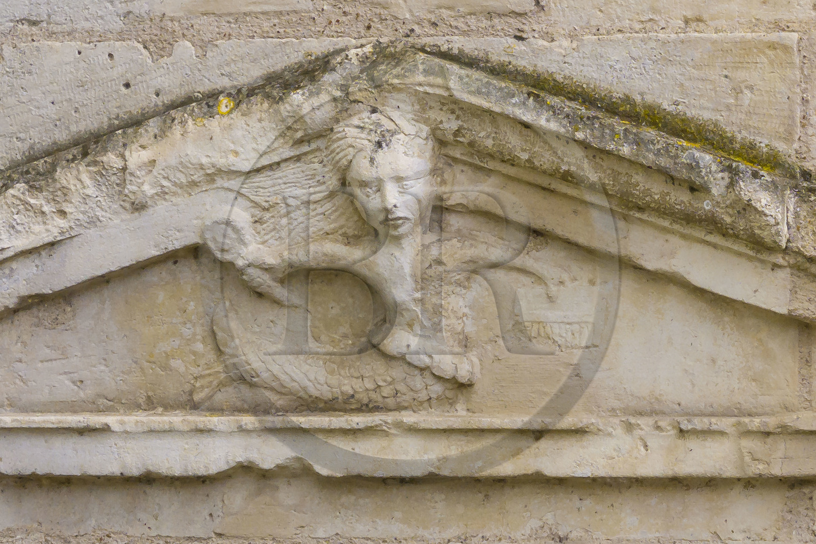 France, Vendée (85), Fontenay-le-Comte, hôtel Gobin du XVIe siècle, anciennement hôtel de la Sénéchaussée, sculpture sur la tour d'escalier représentant Mélusine