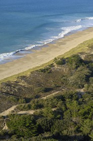 France, Charente-Maritime (17), ile de Ré, plage à la Conche des Baleines (vue aérienne)