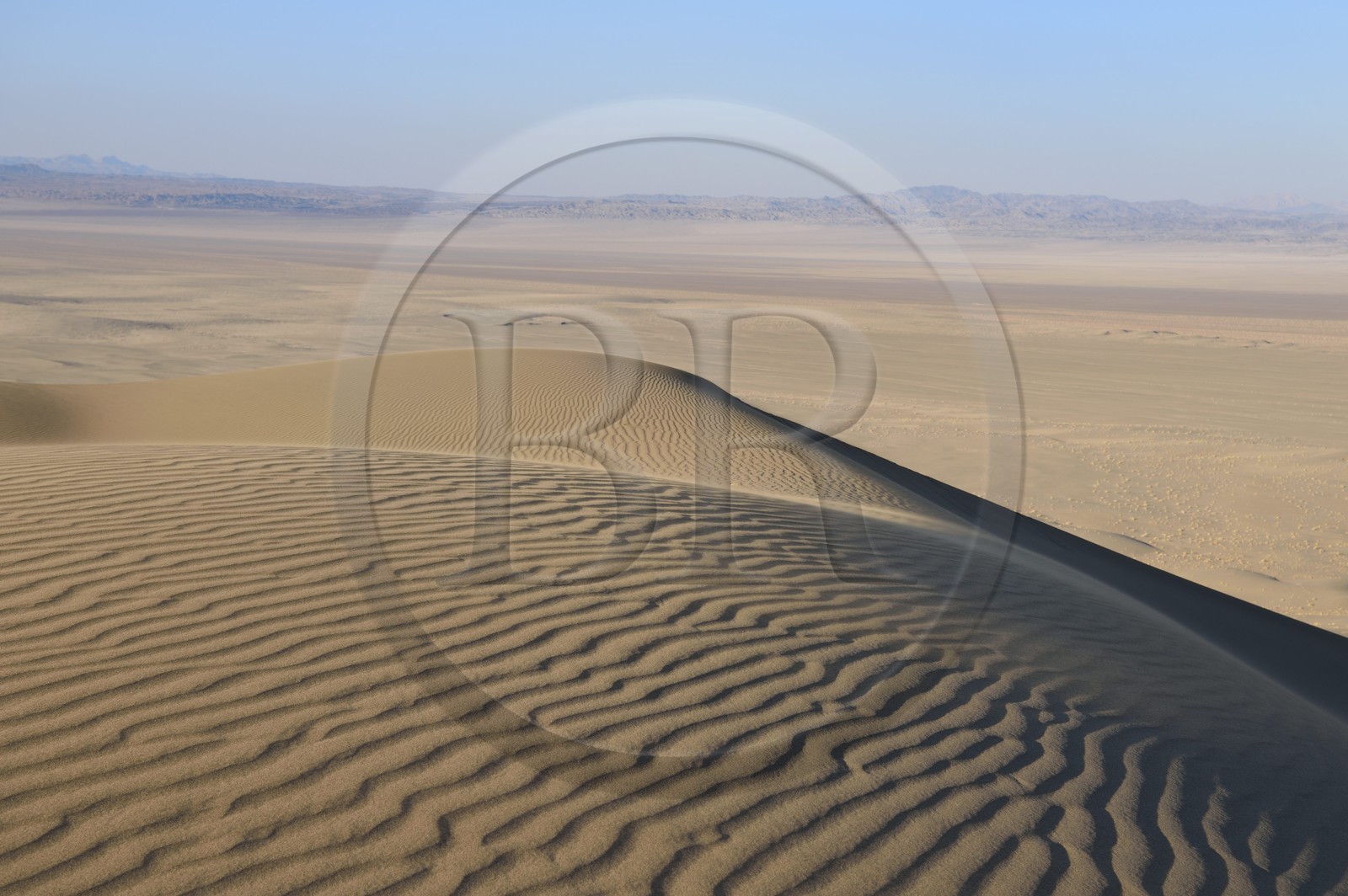 Iran, Province de Yazd, désert du Dasht-e Kavir, Moghestan, massif dunaire dont la plus haute dune atteint les 200 mètres