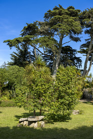 France, Finistère (29), Iles du Ponant, Ile de Batz, jardin Georges Delaselle ou jardin colonial, jardin exotique présentant une collection botanique provenant des cinq continents et vestiges d'une nécropole de l'âge de bronze