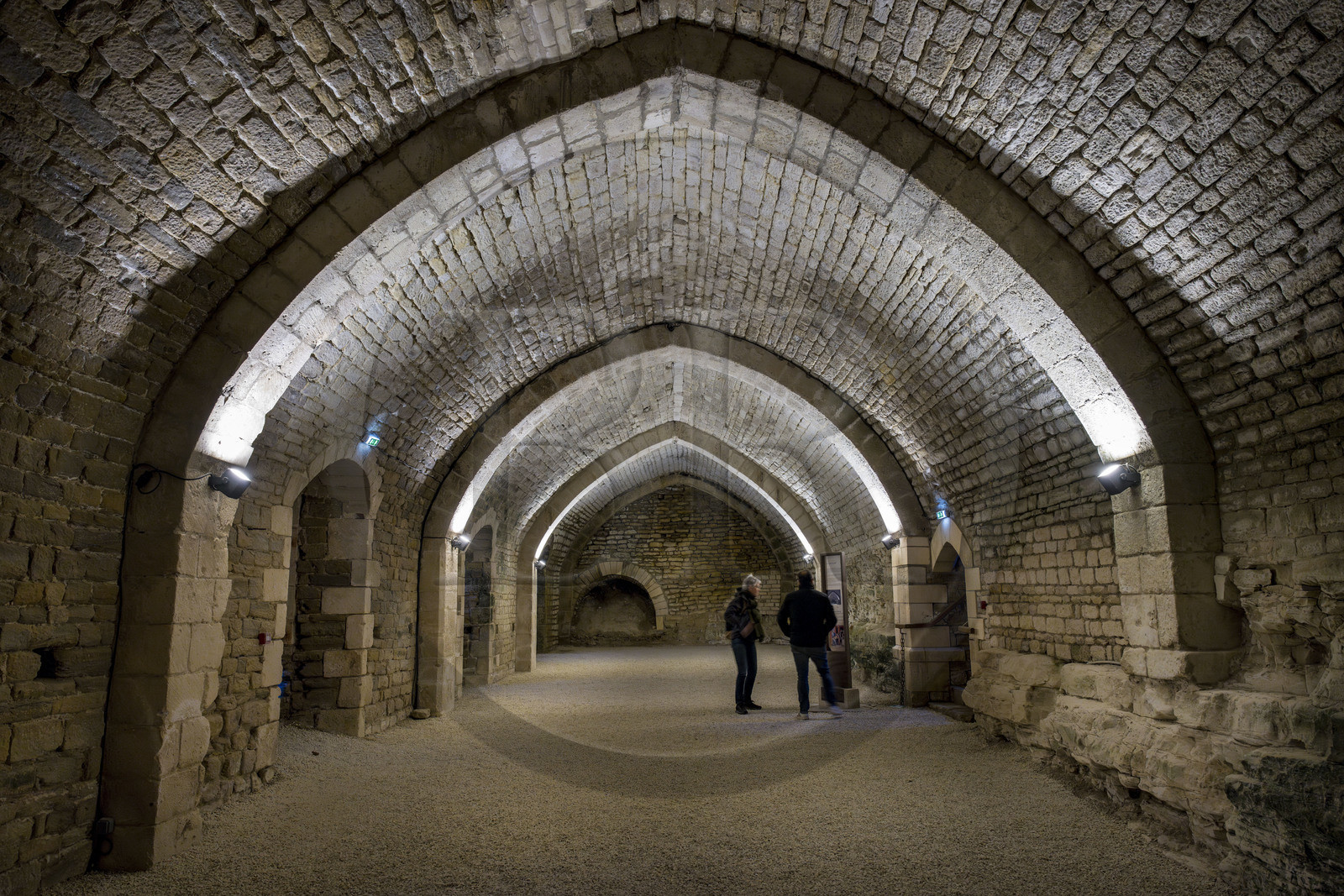 France, Vendée (85), Parc Interrégional du Marais Poitevin labellisé Grand Site de France, Maillezais, vestiges de l'abbaye Saint-Pierre de Maillezais, la cave à sel