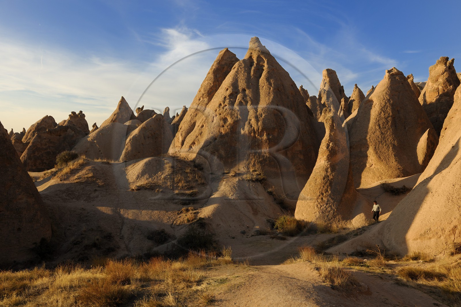 Turquie, Anatolie Centrale, province de Nevsehir, Cappadoce classée Patrimoine Mondial de l'UNESCO, paysage d'érosion et cheminées de fées entre Ürgüp et Avanos à Devrent Deresi